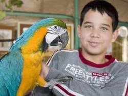 תוצאת תמונה עבור ילדים עם תוכי