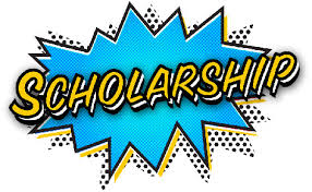 Image result for Scholarship