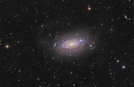 Image result for Messier 63