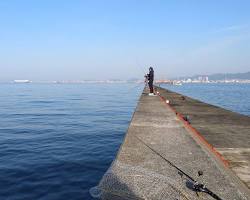 沖堤防での釣りの画像