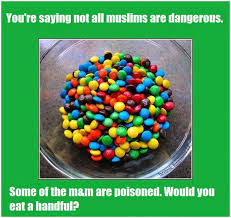 Résultat de recherche d'images pour "feminist m&m analogy"