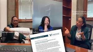 Y no grabaron solo una: Ponentes del ministro Irving Espinosa renuncian a la Corte por videos de botanas