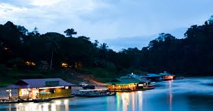 Image result for national park pahang