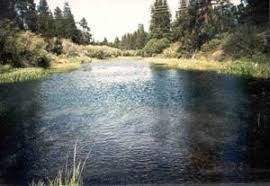 Image result for williamson river