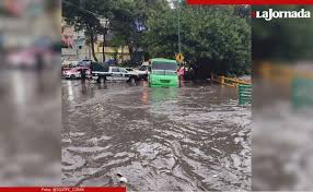 La Jornada - News update