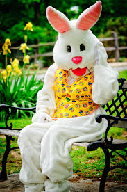Résultat de recherche d'images pour "easter bunny"