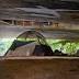 Federal aid boosts care for homeless