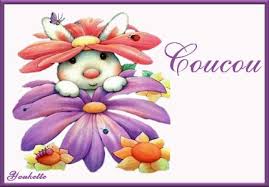 Résultat de recherche d'images pour "gif coucou"