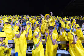 Savannah Bananas: Revolutionizing Baseball with Fan-First Entertainment