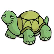 Image result for cecil turtle
