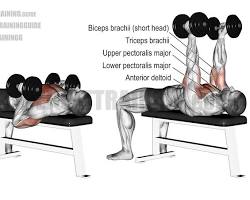 Image of Dumbbell Hammer Press exercise