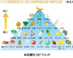 抗酸化作用の高い食品の画像