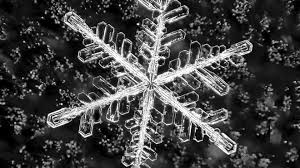 Snowy Week Ahead as Winter Weather Targets Rhode Island