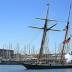 Tall ship Lynx sales into Tampa Bay for a week