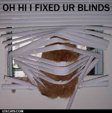 Image result for hi meme