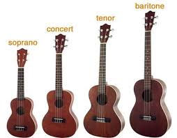 Image result for ukulele