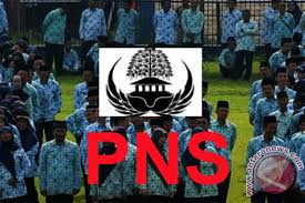 Hasil gambar untuk pns