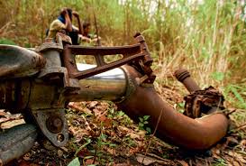 Image result for nagaland images