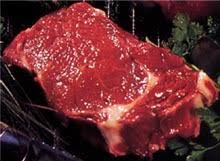 Image result for belgian blue bull meat