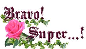 Résultat de recherche d'images pour "bravo photo"