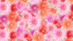 Image result for beautiful flowers pictures