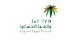 نائبة وزير العمل والتنمية الاجتماعية