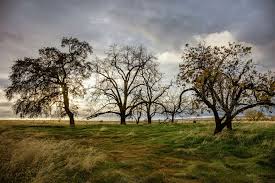 NorCal Thunderstorm & Wildfire Risk as 4th of July Approaches