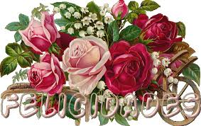 Resultado de imagen para clases de flores en guatemala hermosas