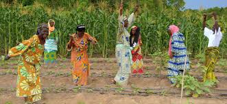 Image result for benin country