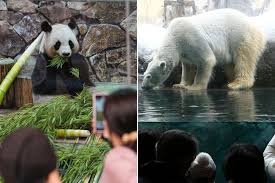 Zoo opening delayed after employee 'disposed of wife's body in an incinerator before going to work'