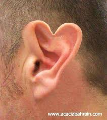 نتيجة بحث الصور عن صور اذن