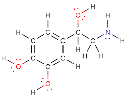 Image result for bonding atoms and structure