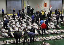 News source: 読売新聞オンライン