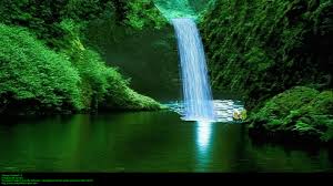 Image result for serene photos