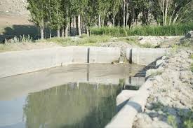 کشاورزی