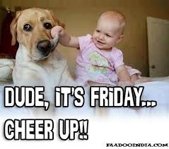 Image result for free funny images it's friday