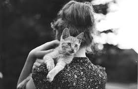 Image search result for 