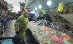 Diversos climas se presentan en territorio mexicano