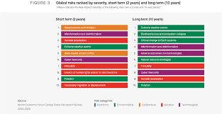 The Global Risks Report 2026