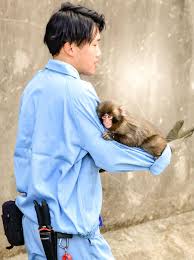 NHỮNG CON NGƯỜI YÊU THÍCH CỦA CÚ ĐẤM: Cảm ơn Kosuke Shikano ...