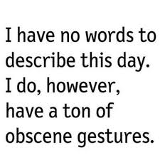 Describe your day | Bad Day Sayings | Pinterest via Relatably.com