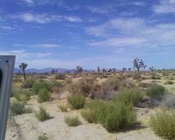 Image of Lake Los Angeles desert
