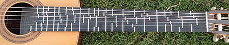 Résultat de recherche d'images pour "microtonal guitar"