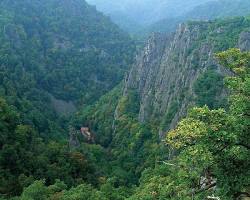 Imagem das montanhas Harz, Alemanha