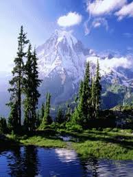 Resultado de imagen para fondos de pantalla animados gif