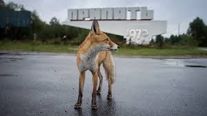 Chernobyl