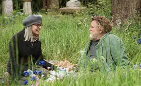 Hampstead review: Brendan Gleeson and Diane Keaton turn the ...