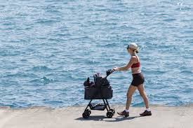 Chicago under heat warning for 4th day