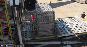 Image result for St Louis Fed Hacker Attack