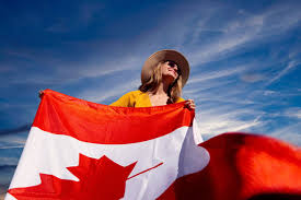 INsauga - News update